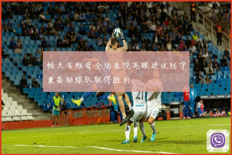 帕夫洛维奇全场表现亮眼进攻防守兼备助球队取得胜利