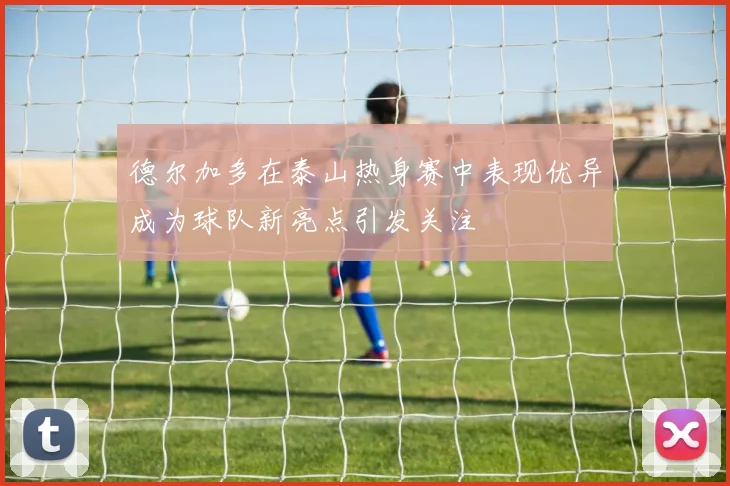 德尔加多在泰山热身赛中表现优异成为球队新亮点引发关注